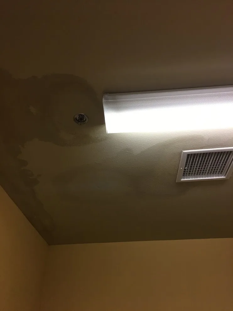 Moisture Restoration, Wall Repair & Painting by Martn Carabajal Painting - Photo 69