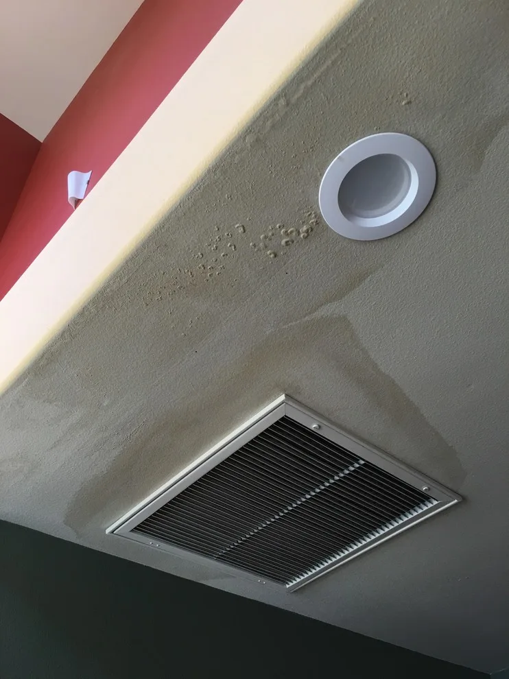 Moisture Restoration, Wall Repair & Painting by Martn Carabajal Painting - Photo 61