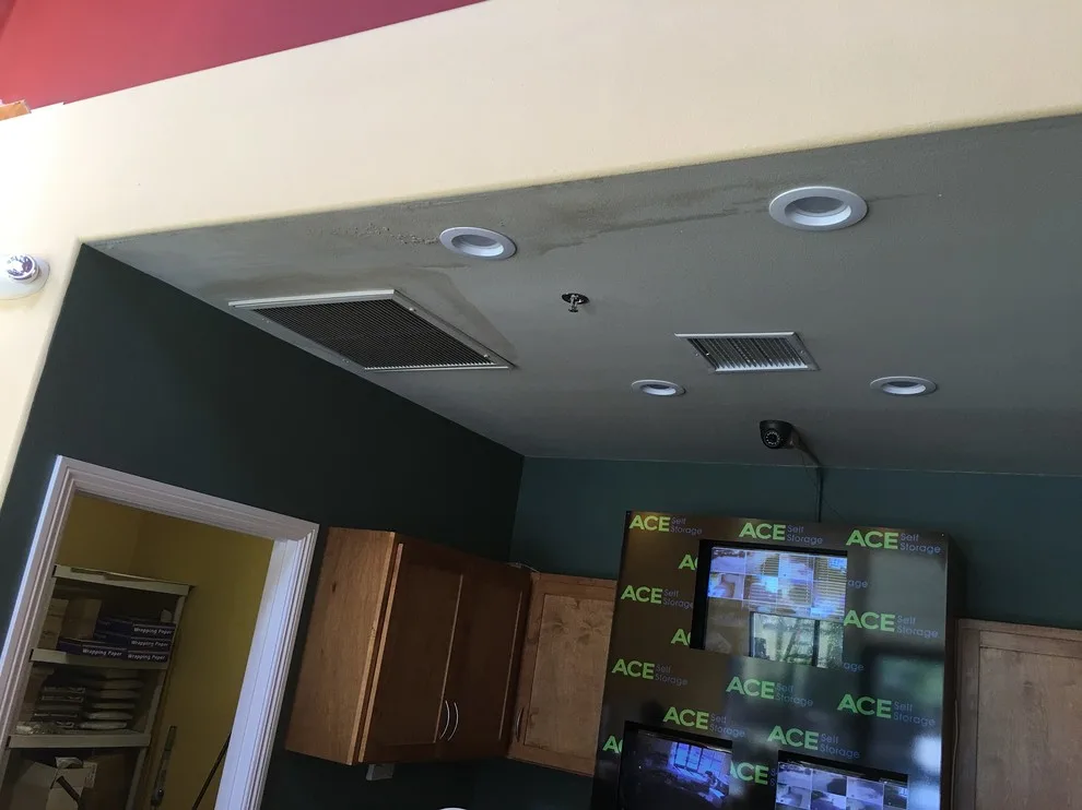Moisture Restoration, Wall Repair & Painting by Martn Carabajal Painting - Photo 31