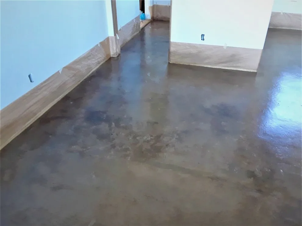 Acid Tint by Busby Finishes - Photo 5