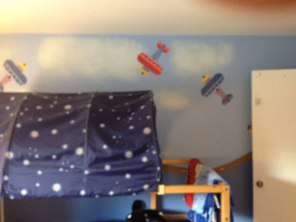 Kildeer Illinois Color Refresh by Creative Walls And Spaces - Photo 2