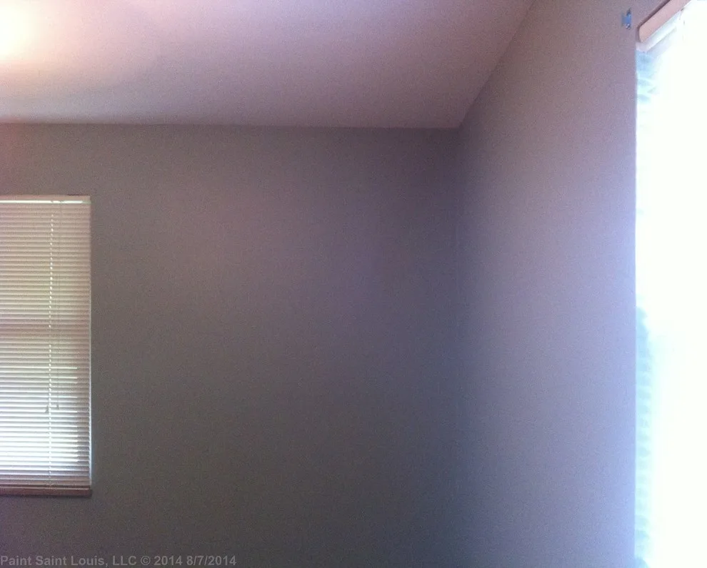 Affton - Refresh by Paint Saint Louis, LLC - Photo 23