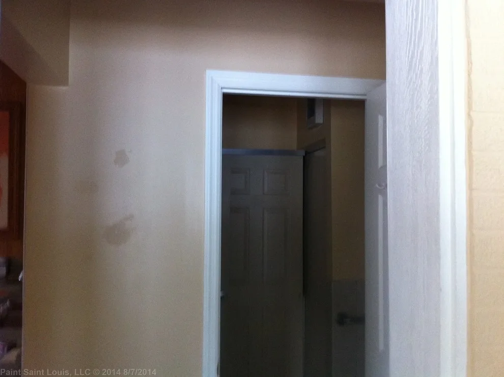 Affton - Refresh by Paint Saint Louis, LLC - Photo 26