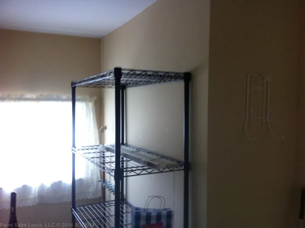 Affton - Refresh by Paint Saint Louis, LLC - Photo 33