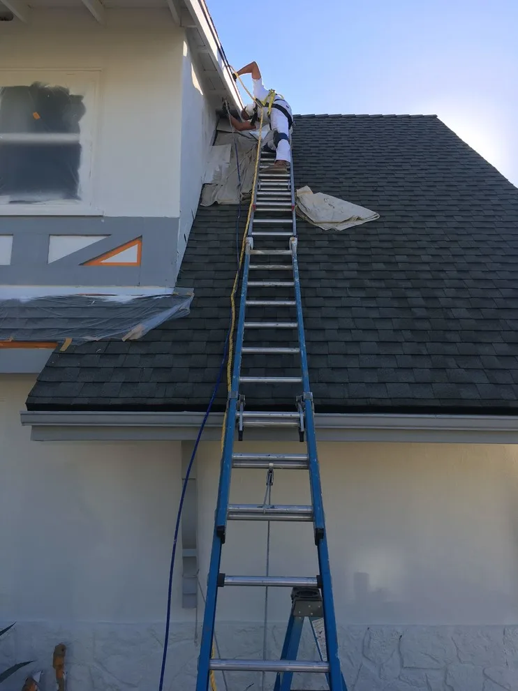 Complete Exterior Painting by Martn Carabajal Painting - Photo 27