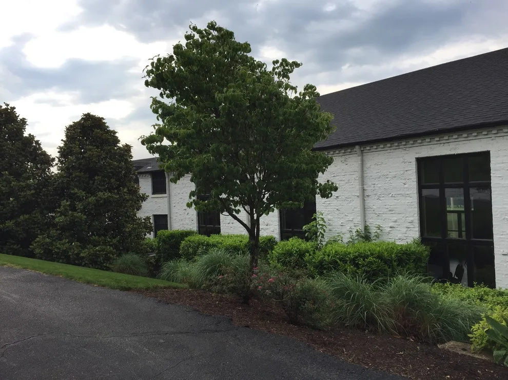 Our Collective Efforts by Powell's Painting & Remodeling - Photo 9