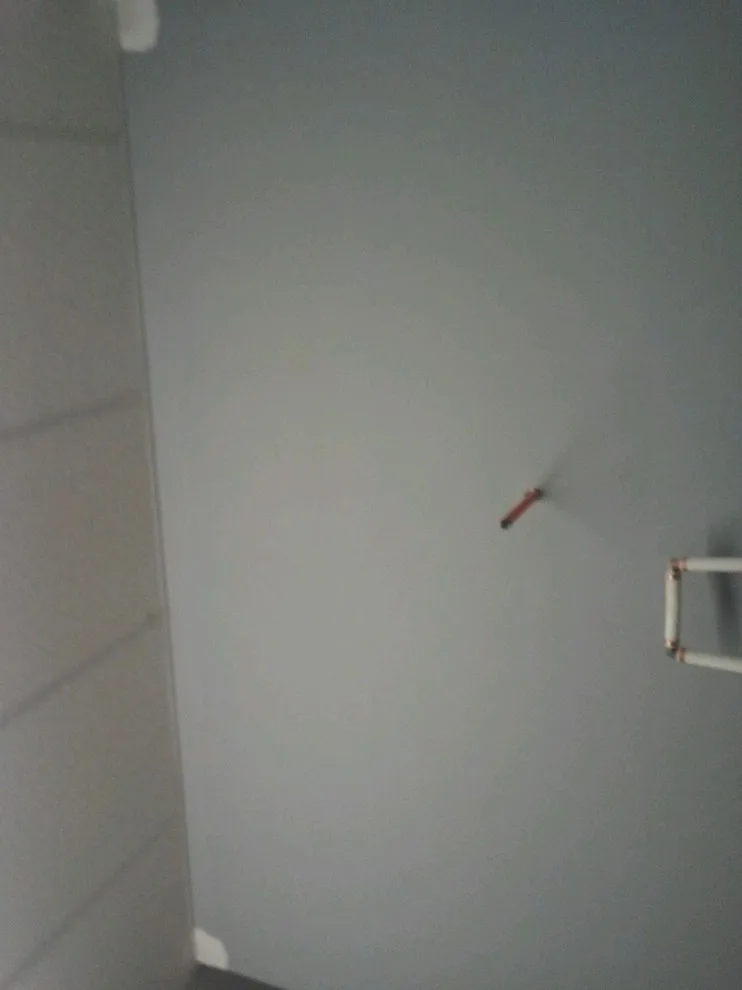 Pro Paint & Finish - Photo 10