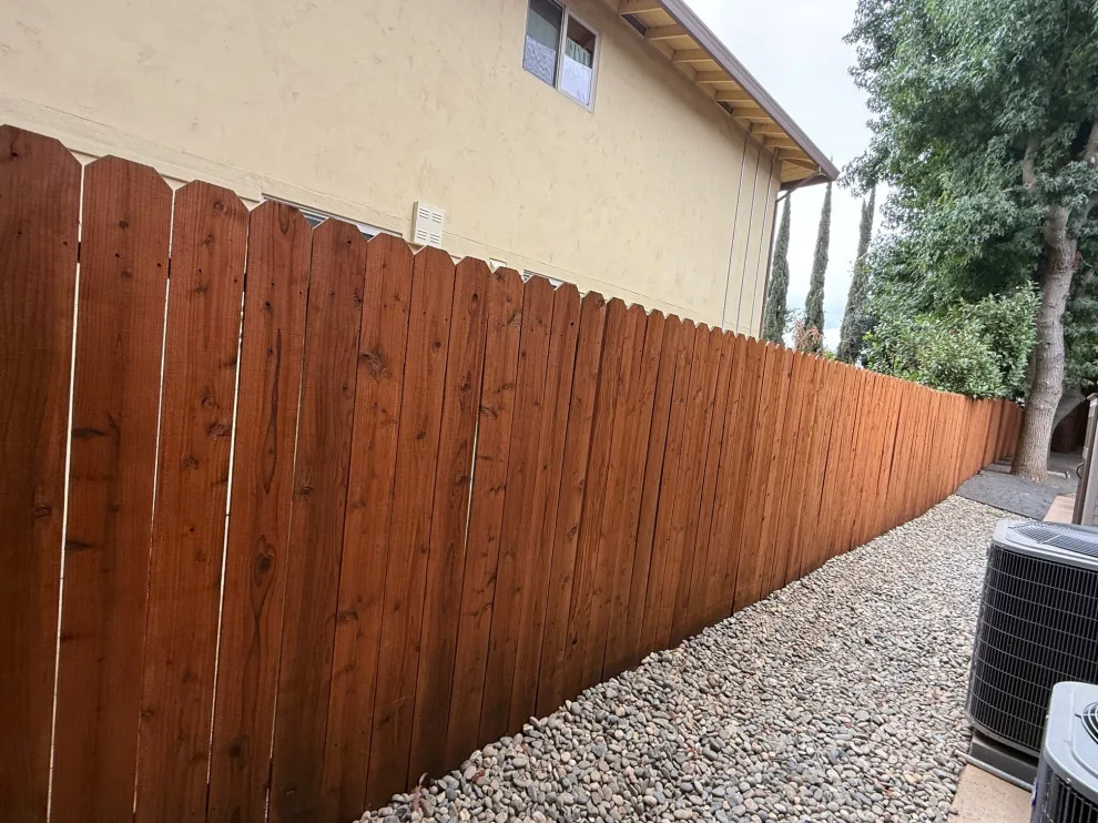 Arden Tint by B&S Painting Inc - Photo 2