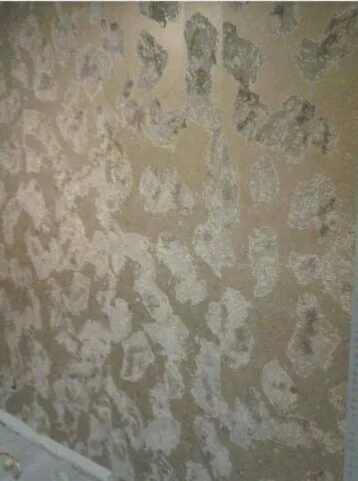 Meridian Painting INC - Photo 3