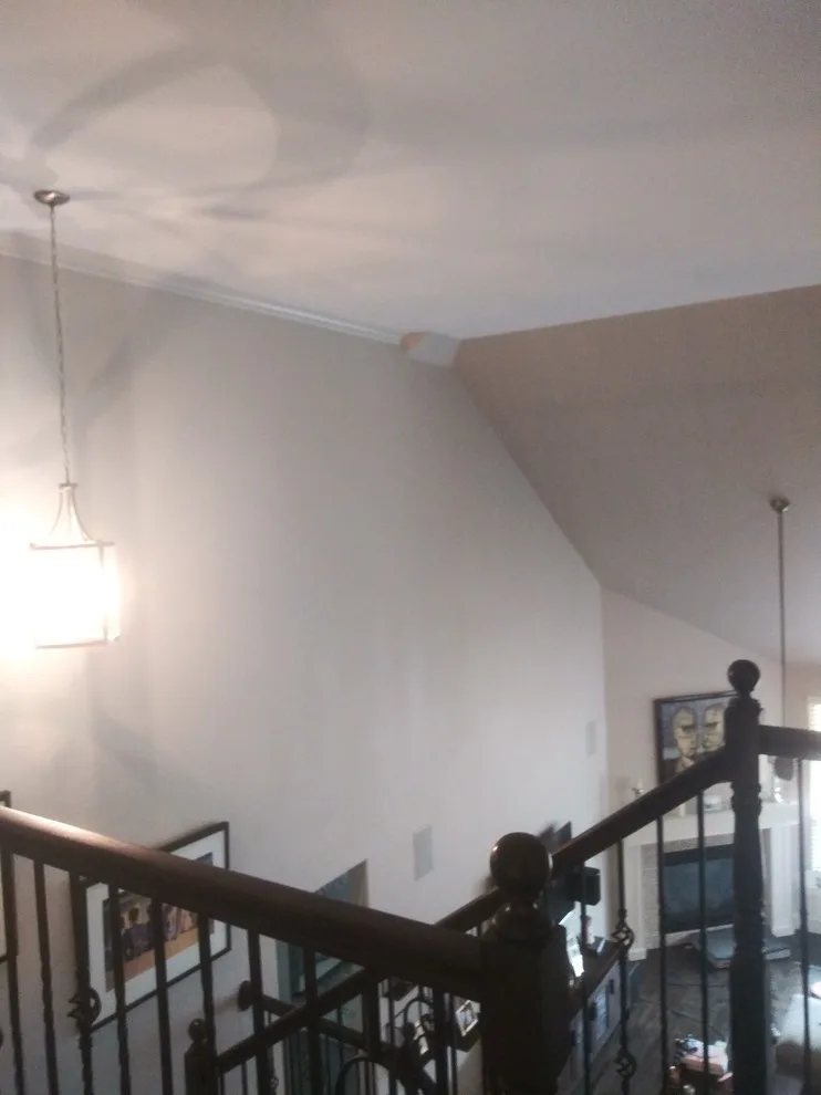 B & L's hue alteration by Guy The Painter - Photo 20