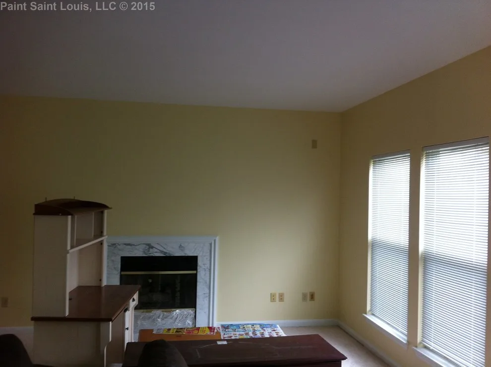 Ballwin November 2015 by Paint Saint Louis, LLC - Photo 36