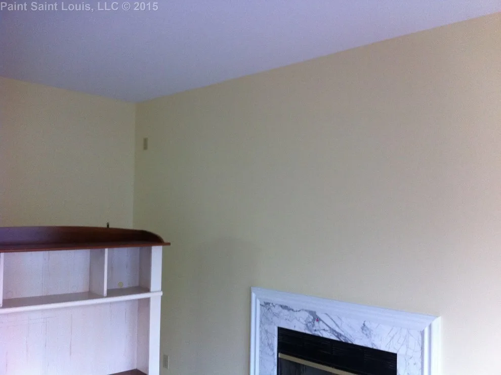 Ballwin November 2015 by Paint Saint Louis, LLC - Photo 43