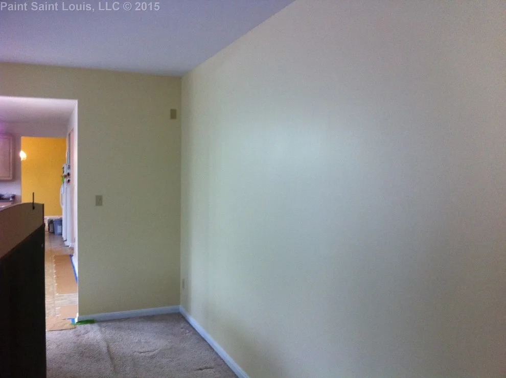 Ballwin November 2015 by Paint Saint Louis, LLC - Photo 56