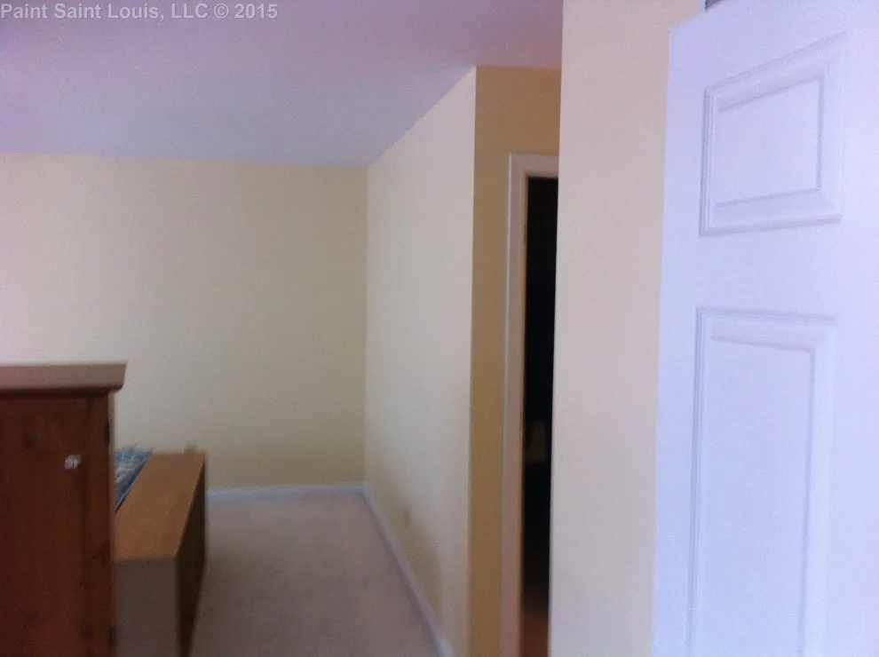 Ballwin November 2015 by Paint Saint Louis, LLC - Photo 5