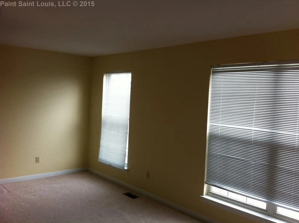 Ballwin November 2015 by Paint Saint Louis, LLC - Photo 14