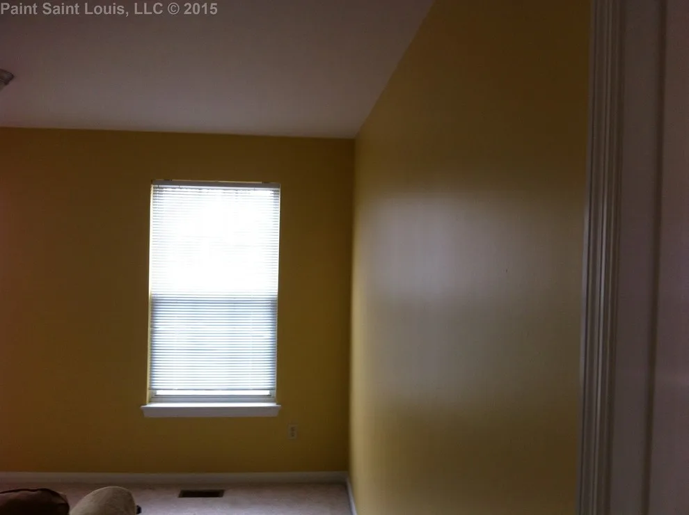 Ballwin November 2015 by Paint Saint Louis, LLC - Photo 17