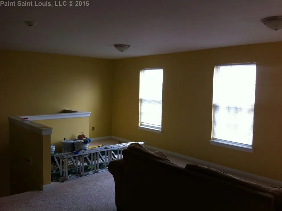 Ballwin November 2015 by Paint Saint Louis, LLC - Photo 23