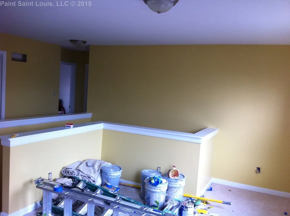 Ballwin November 2015 by Paint Saint Louis, LLC - Photo 30