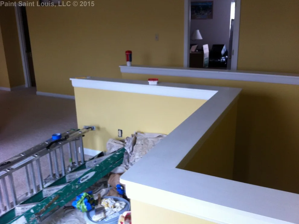 Ballwin November 2015 by Paint Saint Louis, LLC - Photo 2