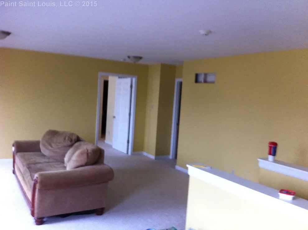 Ballwin November 2015 by Paint Saint Louis, LLC - Photo 15