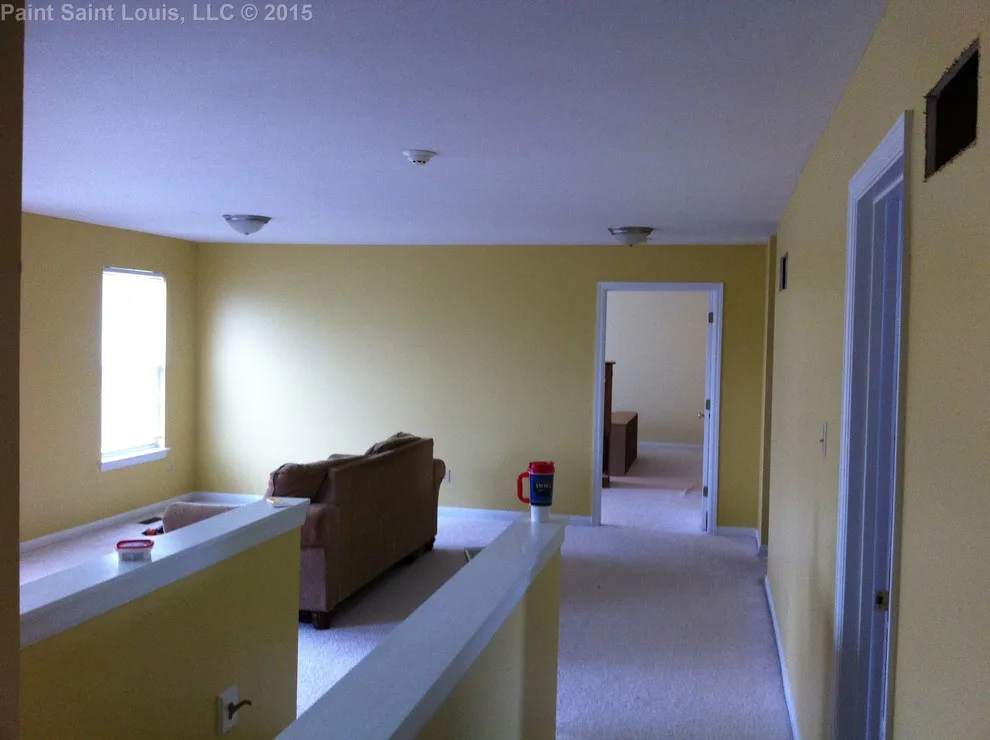 Ballwin November 2015 by Paint Saint Louis, LLC - Photo 45