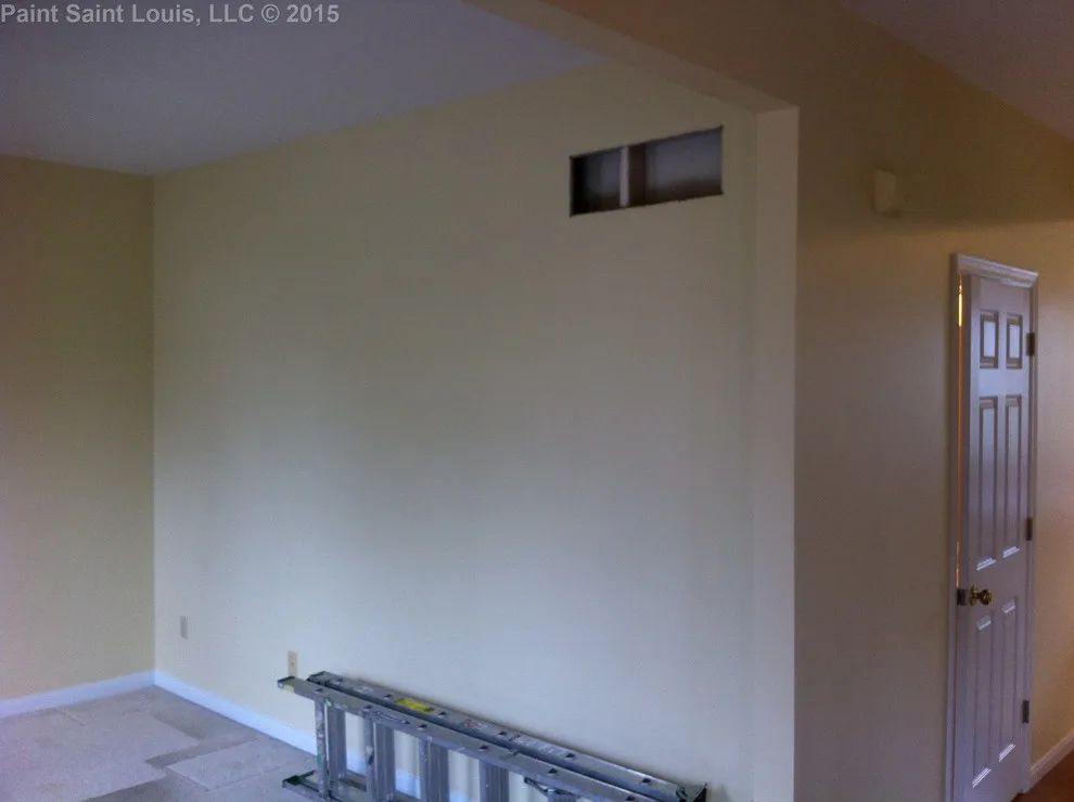 Ballwin November 2015 by Paint Saint Louis, LLC - Photo 21