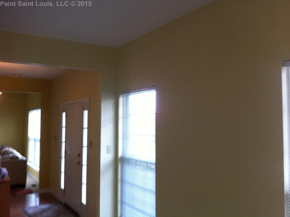 Ballwin November 2015 by Paint Saint Louis, LLC - Photo 52