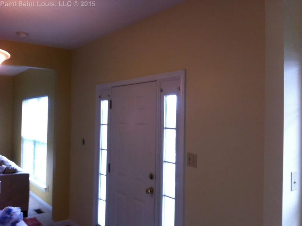 Ballwin November 2015 by Paint Saint Louis, LLC - Photo 54