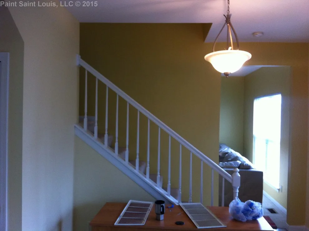 Ballwin November 2015 by Paint Saint Louis, LLC - Photo 46