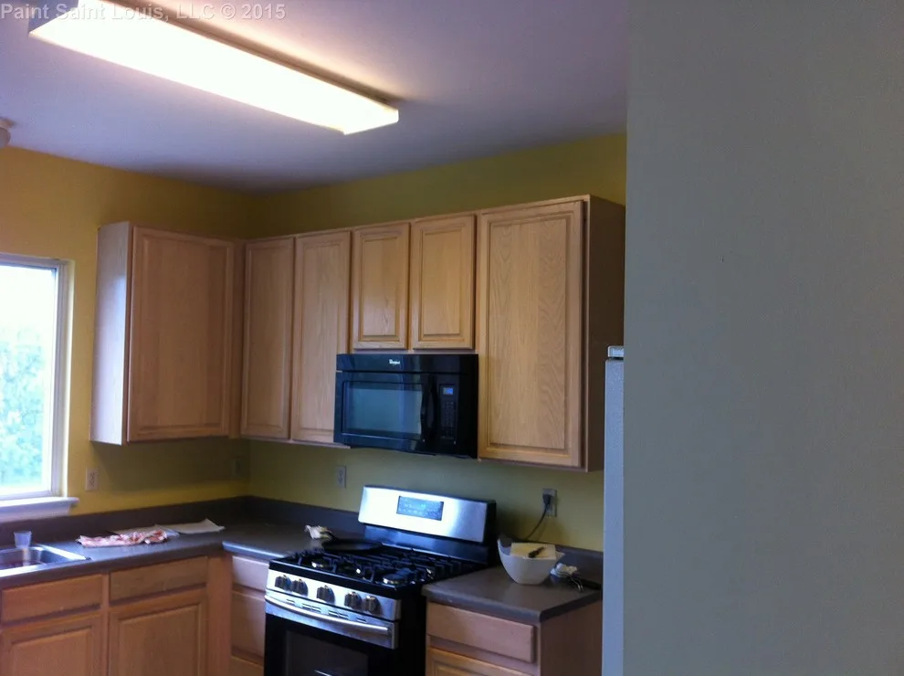 Ballwin November 2015 by Paint Saint Louis, LLC - Photo 47