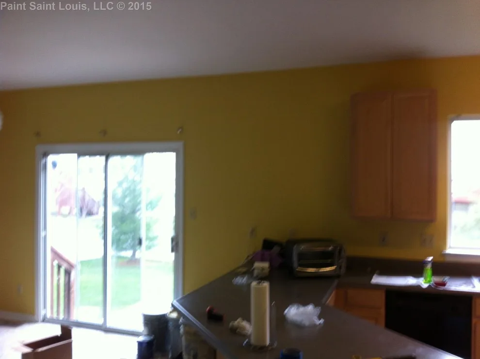 Ballwin November 2015 by Paint Saint Louis, LLC - Photo 25