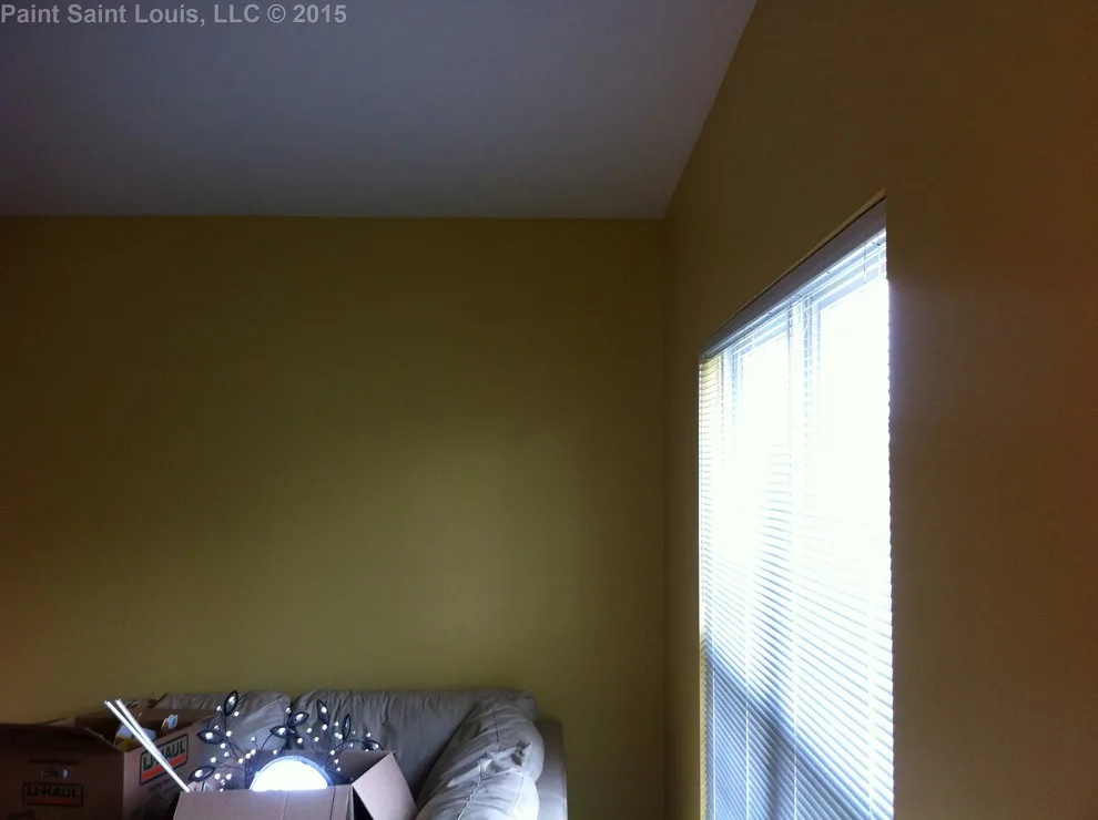 Ballwin November 2015 by Paint Saint Louis, LLC - Photo 44