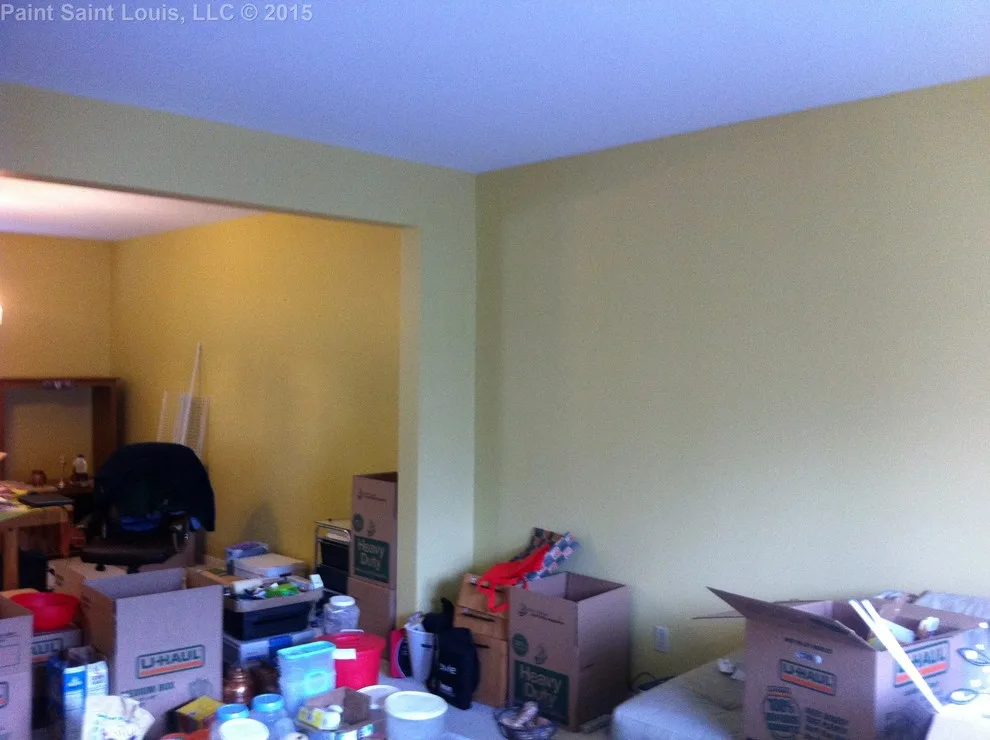 Ballwin November 2015 by Paint Saint Louis, LLC - Photo 58