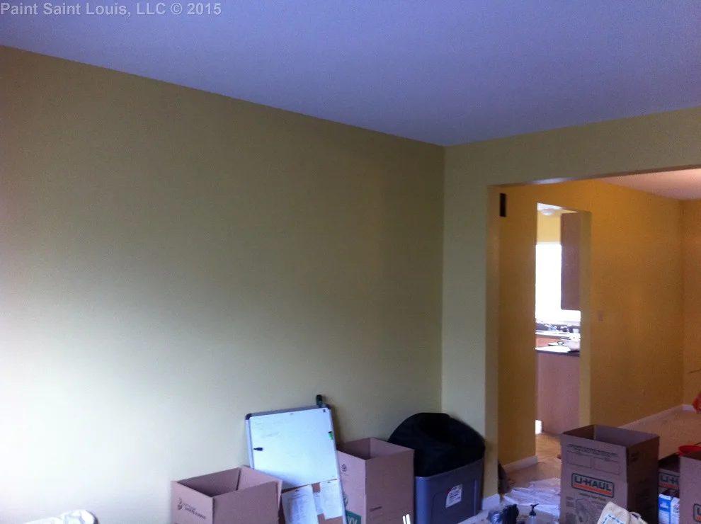Ballwin November 2015 by Paint Saint Louis, LLC - Photo 34