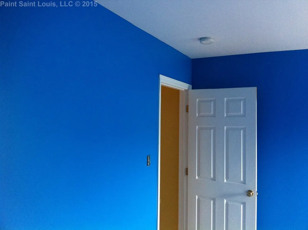 Paint Saint Louis, LLC - Photo 5