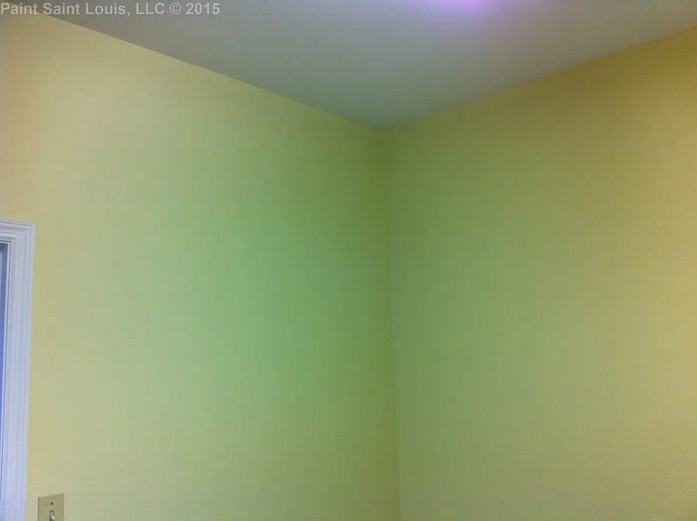 Ballwin November 2015 by Paint Saint Louis, LLC - Photo 22