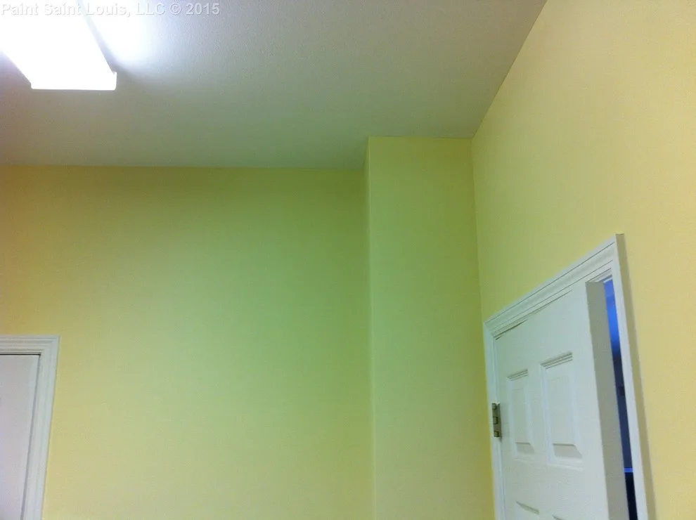 Ballwin November 2015 by Paint Saint Louis, LLC - Photo 29