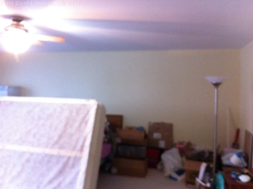 Ballwin November 2015 by Paint Saint Louis, LLC - Photo 20