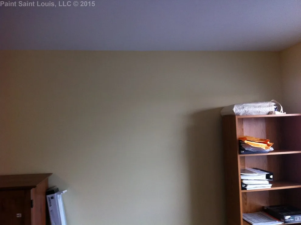 Ballwin November 2015 by Paint Saint Louis, LLC - Photo 16