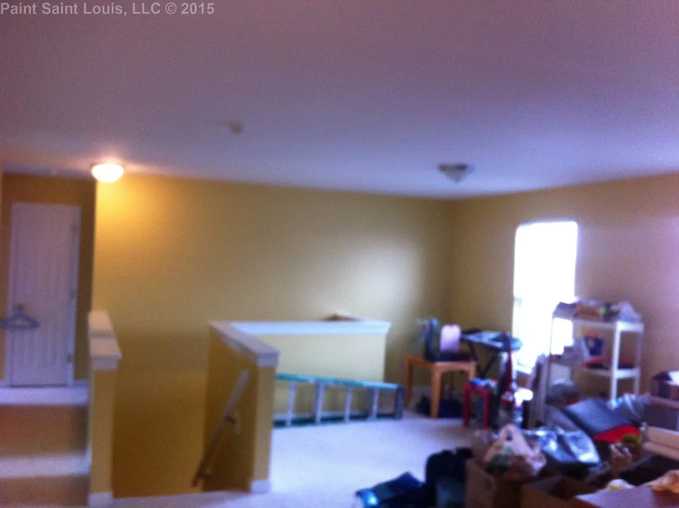 Ballwin November 2015 by Paint Saint Louis, LLC - Photo 39