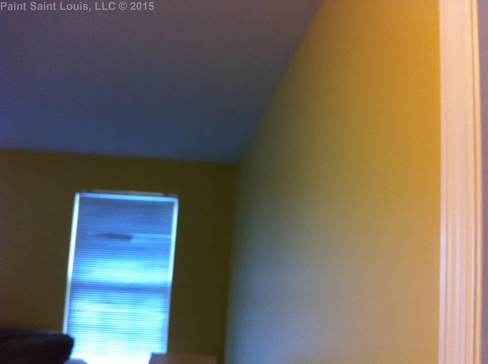 Ballwin November 2015 by Paint Saint Louis, LLC - Photo 49