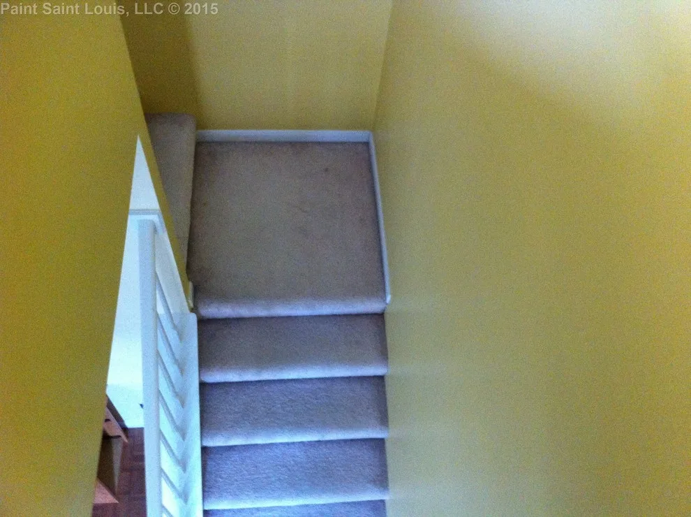 Ballwin November 2015 by Paint Saint Louis, LLC - Photo 27