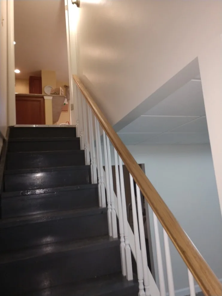 Basement renovation by CJMAS Painting, LLC - Photo 5