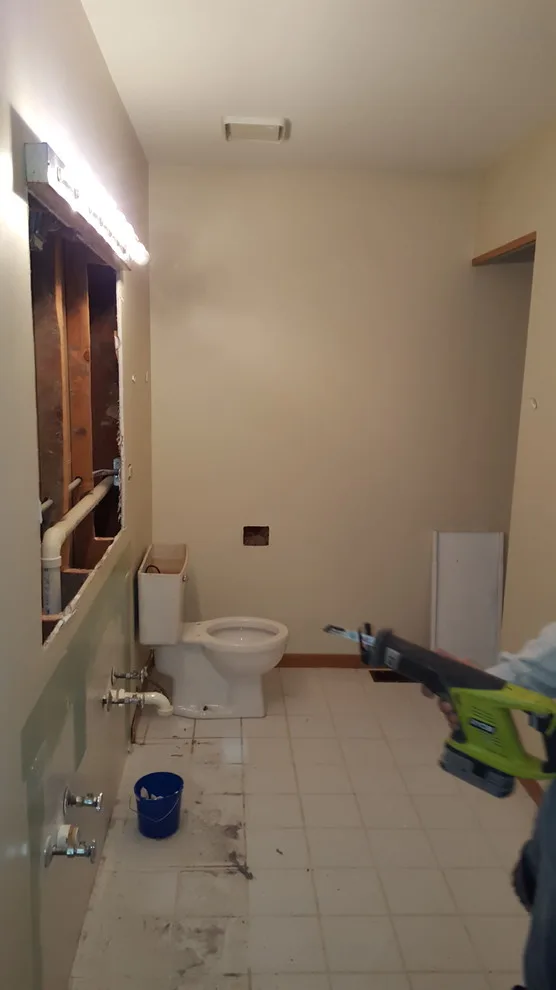 Schaumburg Bathroom Renovation by Adam Raupp Painting - Photo 4