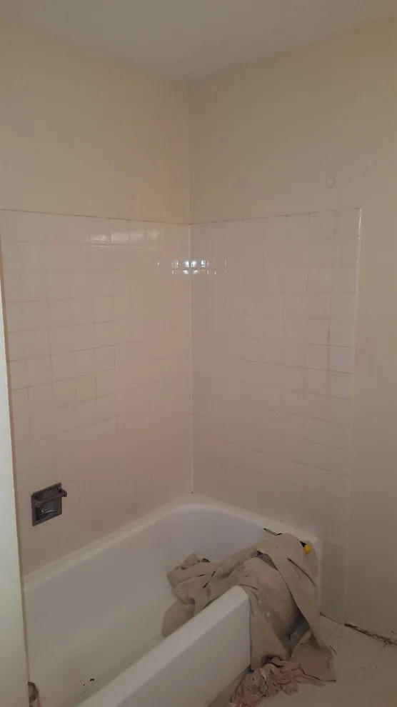 Schaumburg Bathroom Renovation by Adam Raupp Painting - Photo 3