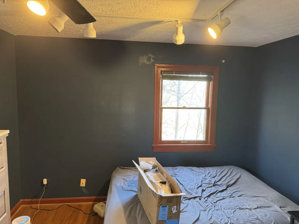 Wilder Painting - Photo 4