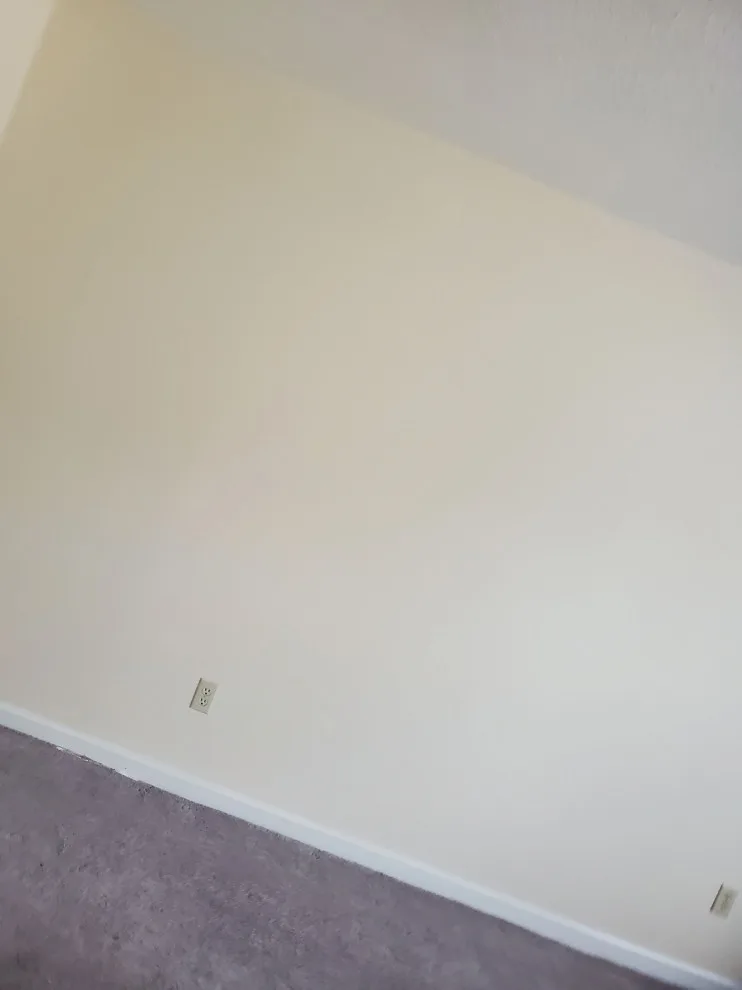 Bedroom Mural Initiative by Fancy Home Refacing LLC - Photo 2