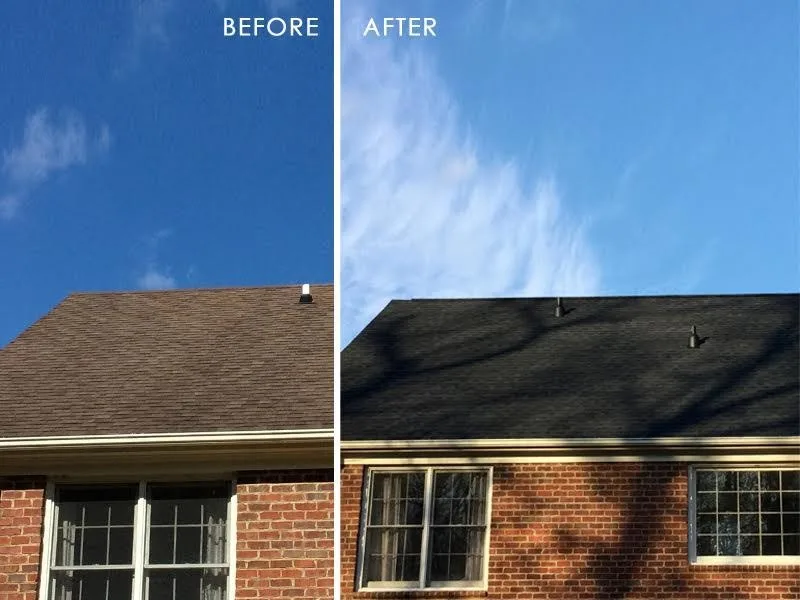 Gonzalez Painters And Contractors - Photo 12