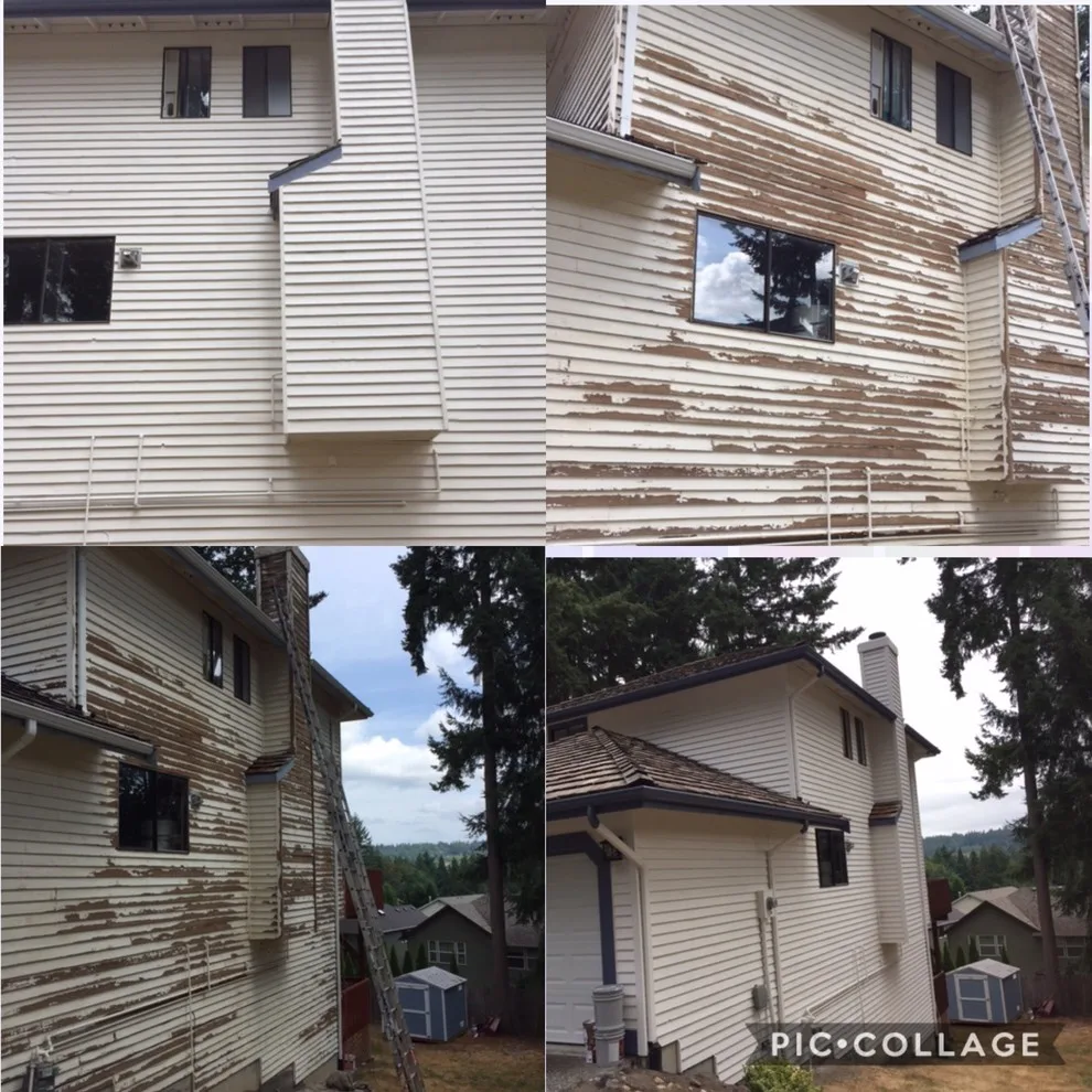 Outdoor Coating by JC Painting Pro LLC - Photo 3