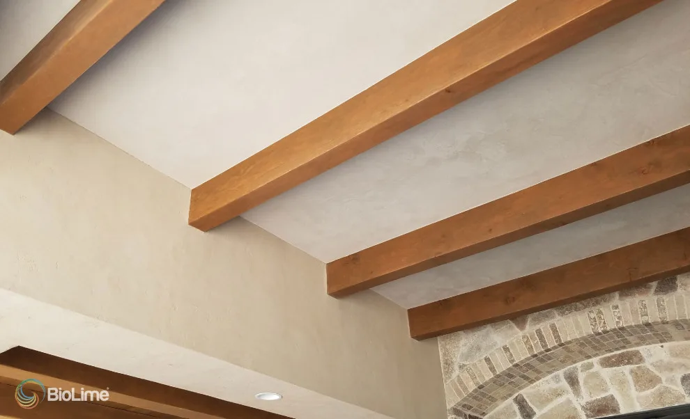 EcoLime Lime Mortar by BioLime LLC - Photo 8